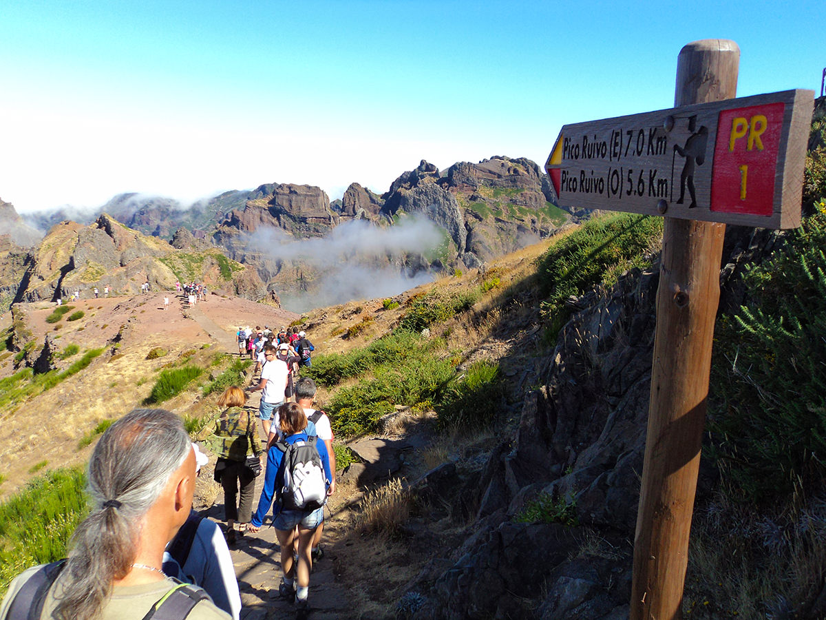 Pack 90,00€ - Floratravel