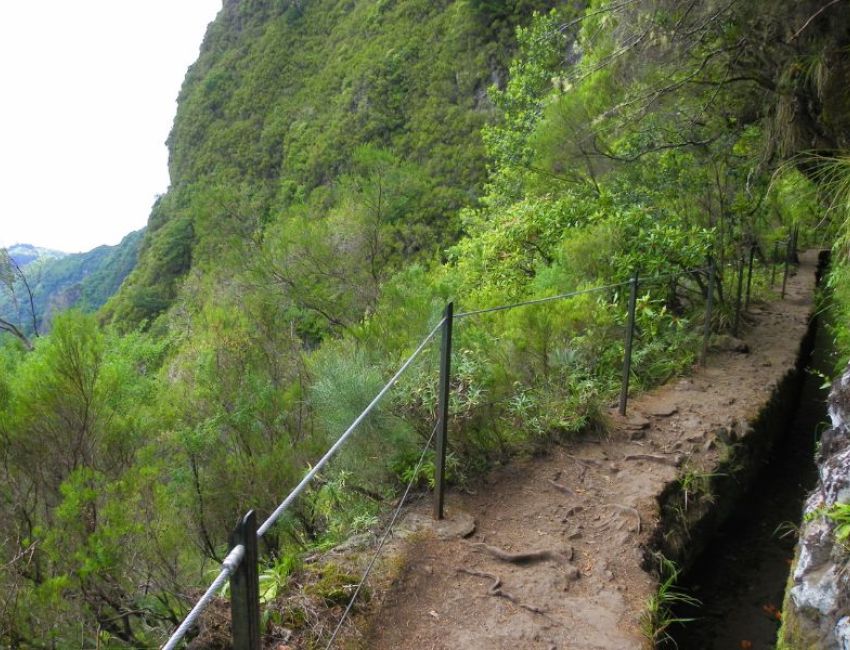 Ilha da Madeira excursão a Santana