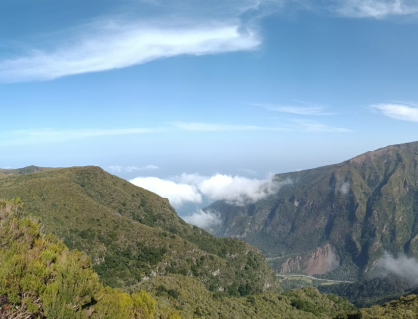 COSTA NORTE